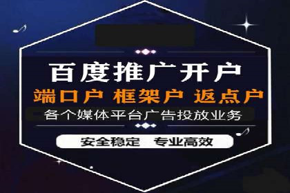 SEM广告投放策略：成功案例解析
